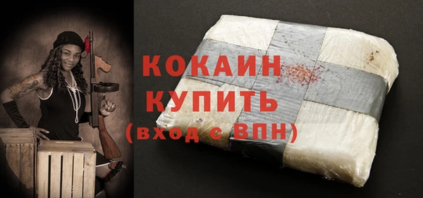 хмурый Инта