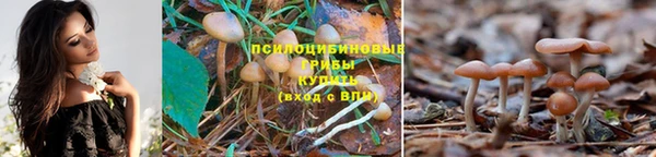 скорость Зерноград